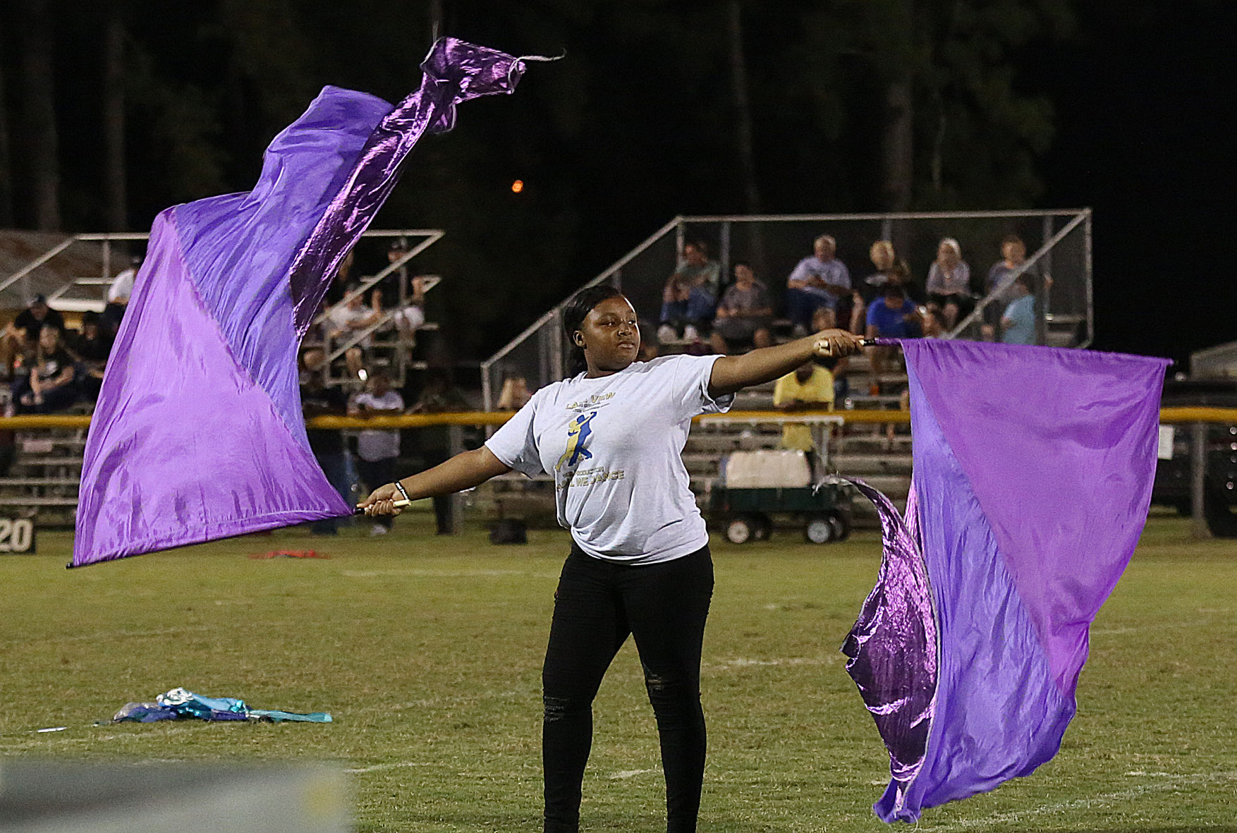 Lake View Band